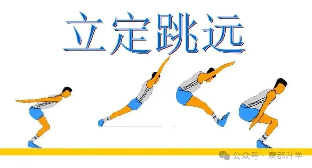 报考篮球训练师_0