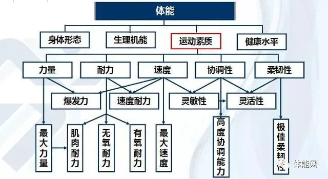 如何设计适合锦标赛的篮球战术_0