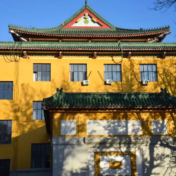 如何通过快攻训练提高球员的速度和灵活性?_1