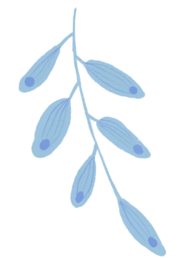 如何制定智能篮球训练计划_2